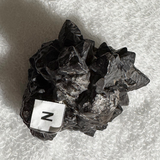 Rough : Prophecy Stone from Eqypt [labeled N]