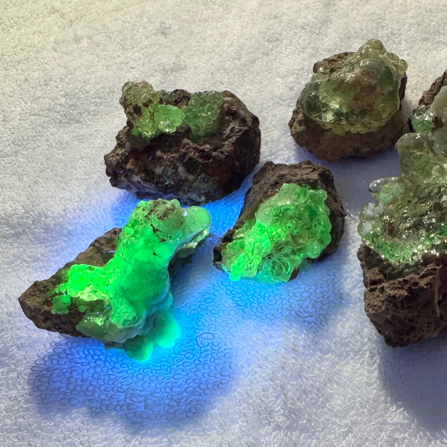 Bulk : Rough : Hyalite Opal on Matrix, 6 pieces, brilliant UV