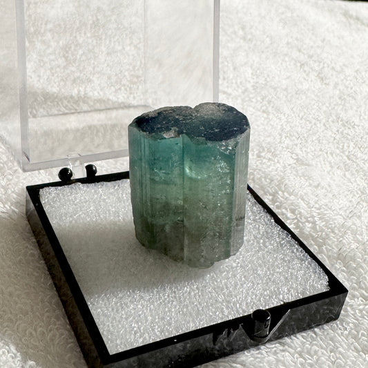 Crystal : Mounted : Watermelon Tourmaline in 2” Acrylic Box, 135ct