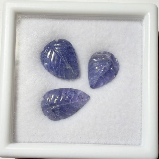 Carved : Tanzanite Leaves, 3 pieces, petite display box