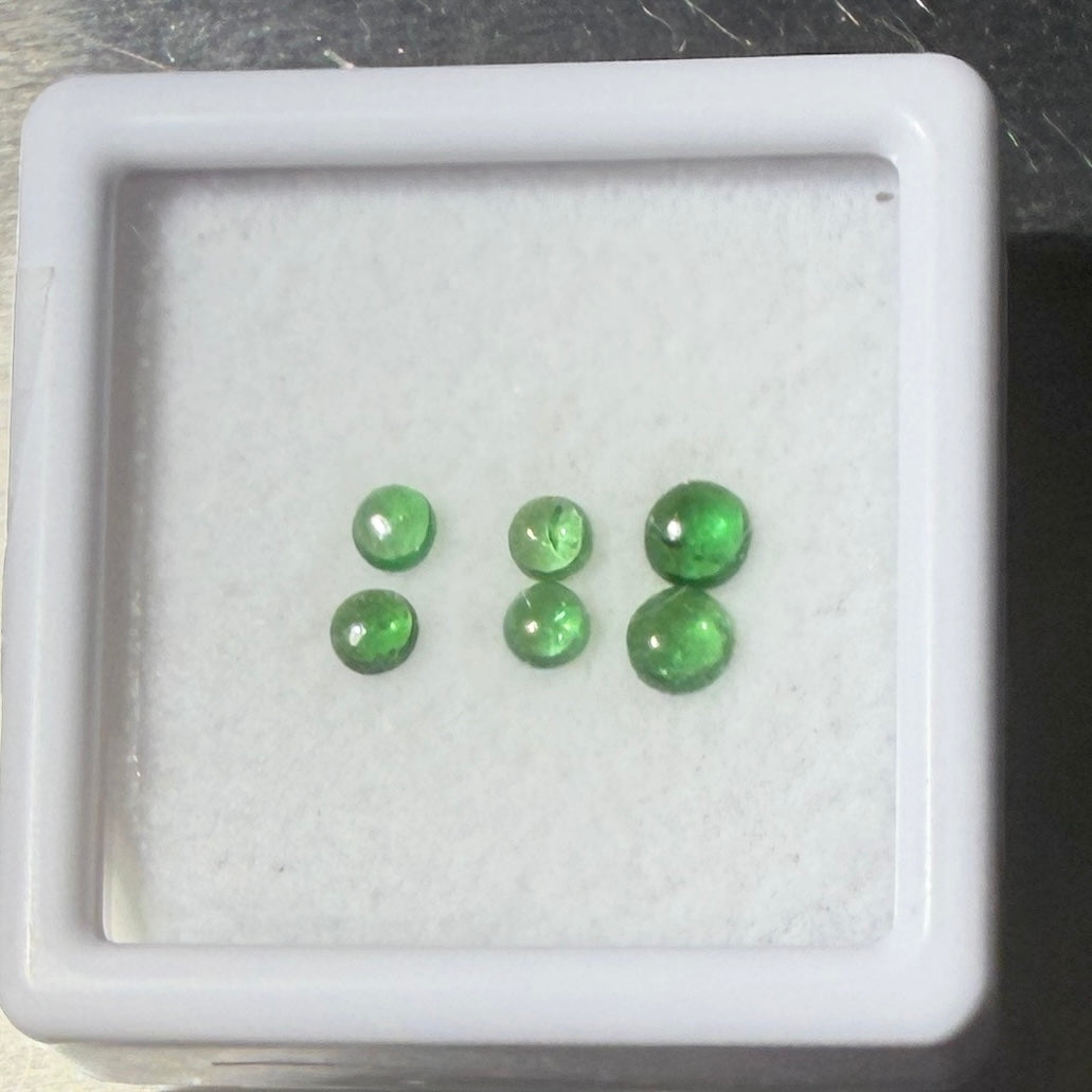 Cabs : Tsavorite Garnets in Display Box, 6 pieces, 2mm/3mm, petite display box