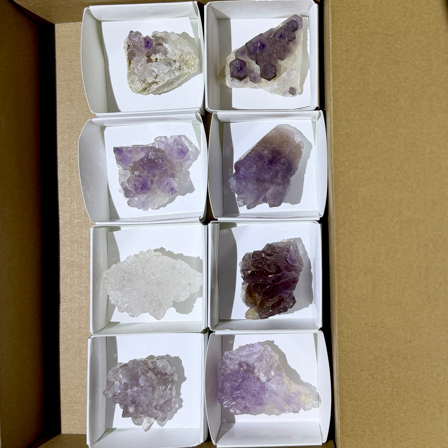 Bulk : Rough : Cactus Amethyst, 8 Pieces, Madagascar