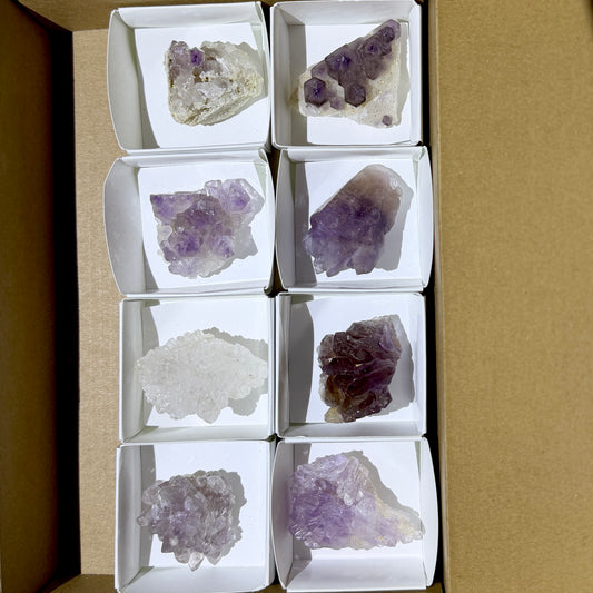 Bulk : Rough : Cactus Amethyst, 8 Pieces, Madagascar