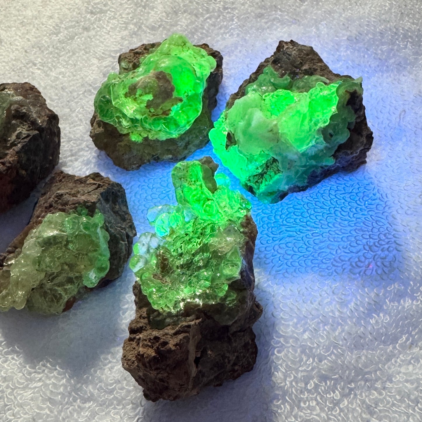 Bulk : Rough : Hyalite Opal on Matrix, 6 pieces, brilliant UV