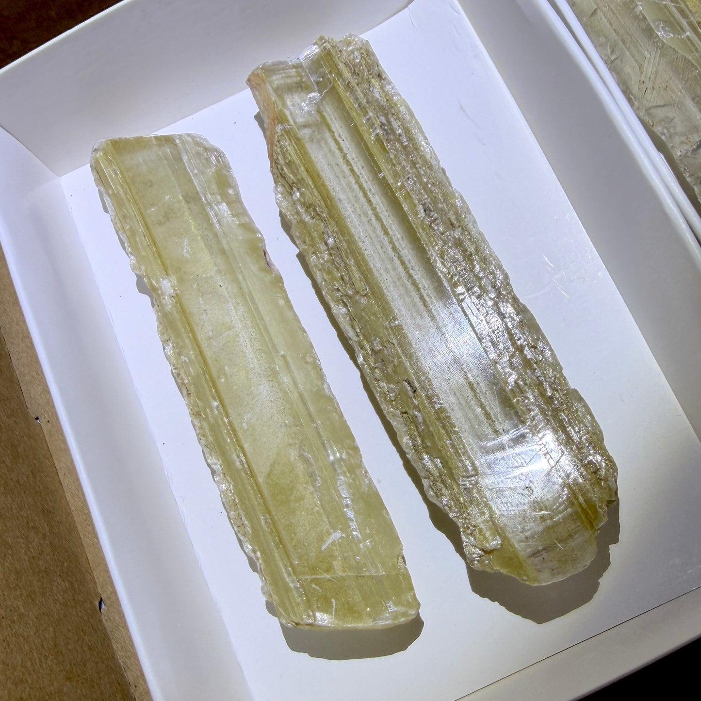 Bulk : 4 piece box of Phantom Selenite Blades