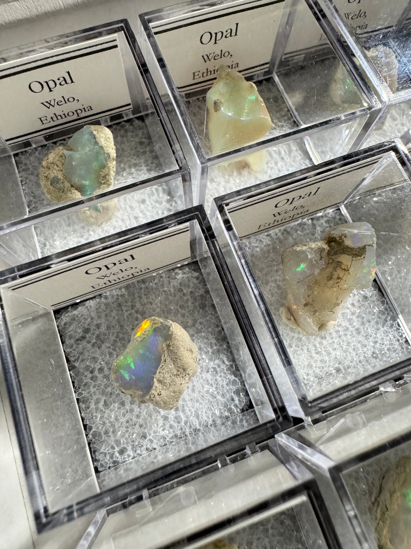 Bulk : Mounted : Welo Opals, Ethiopia, 15 Pieces
