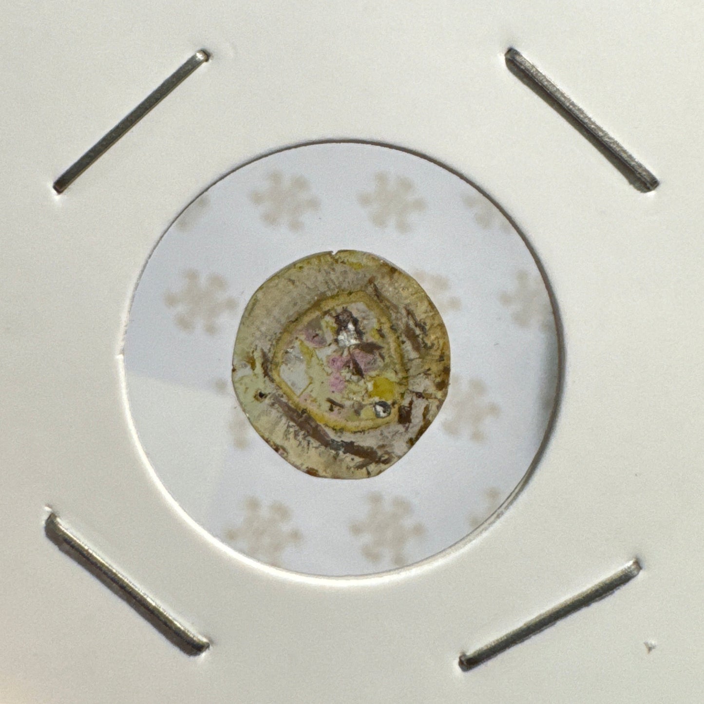 Slice : Watermelon Tourmaline, 13x14x3 3ct