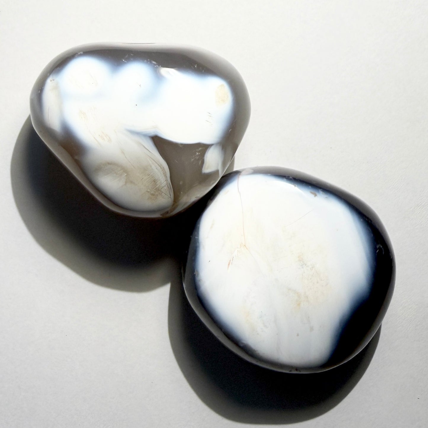 Palmstone : Orca Agate