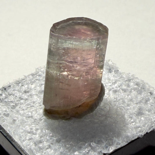 Crystals : Watermelon Tourmaline, 1.21gm, Laghman, Afghanistan