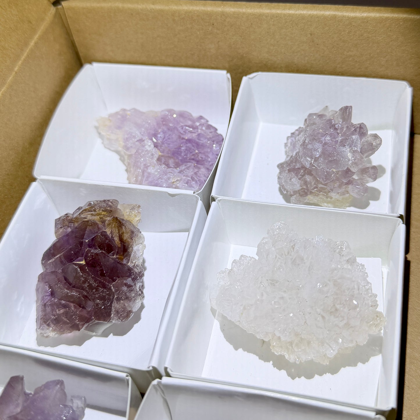 Bulk : Rough : Cactus Amethyst, 8 Pieces, Madagascar
