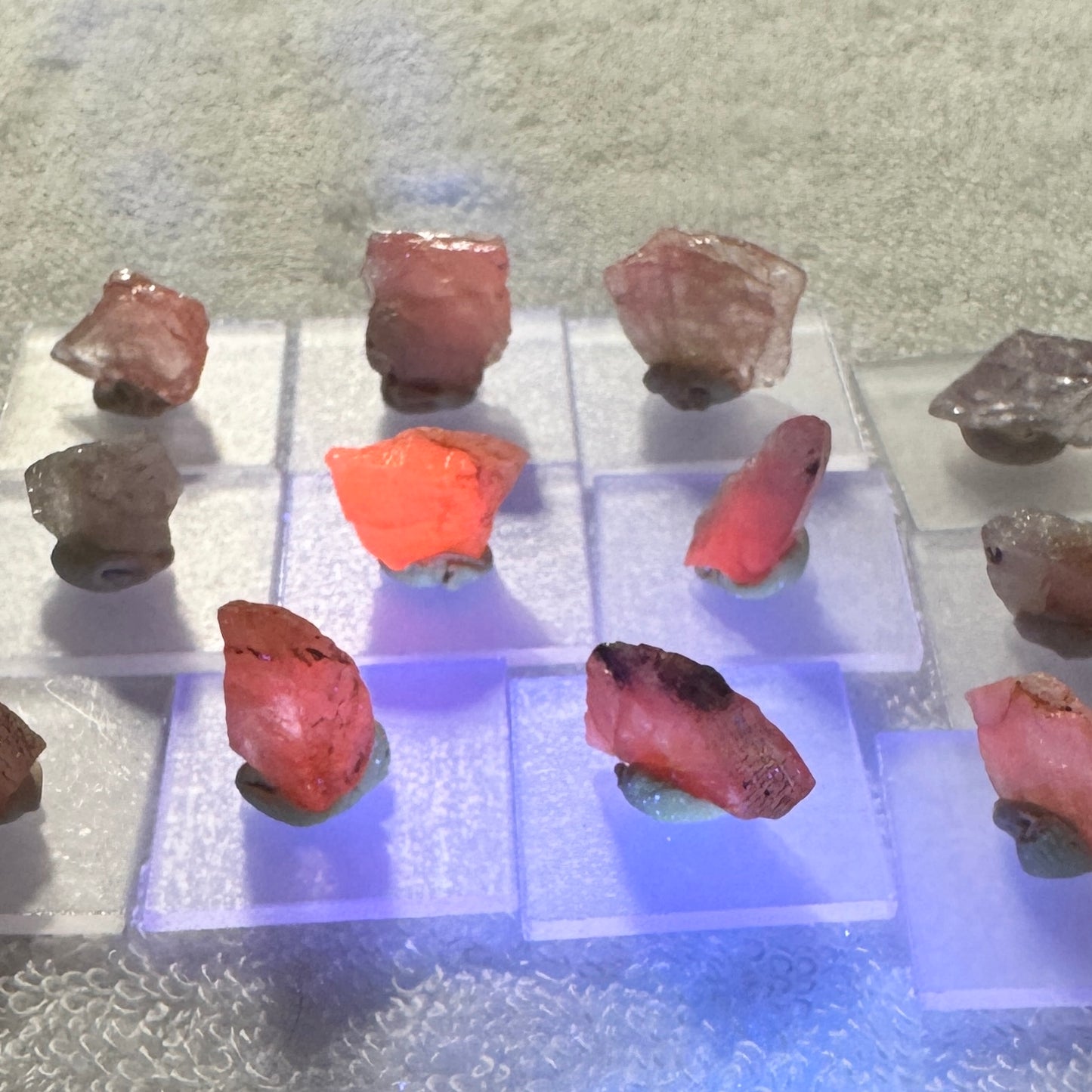 Rough :  Mounted : Mangano Axinite, brilliant UV