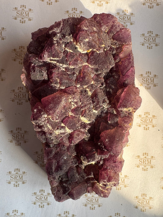 Cluster : Navidad Fluorite