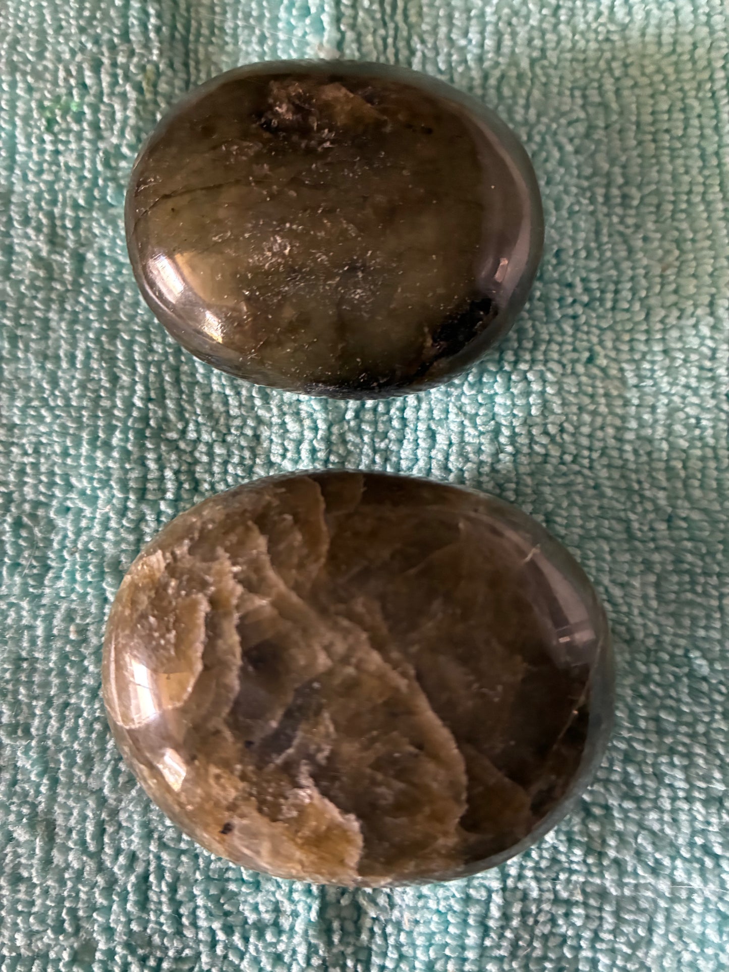 Palmstone : Labradorite