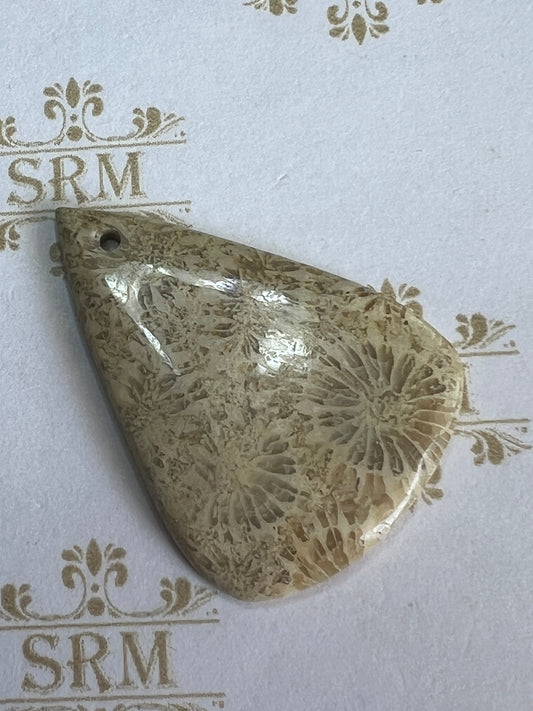 Pendant : Fossil Coral Teardrop