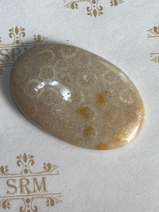 Cab: Fossil Coral