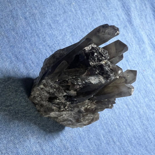 Cluster : Smoky Quartz Seed.  Choice!