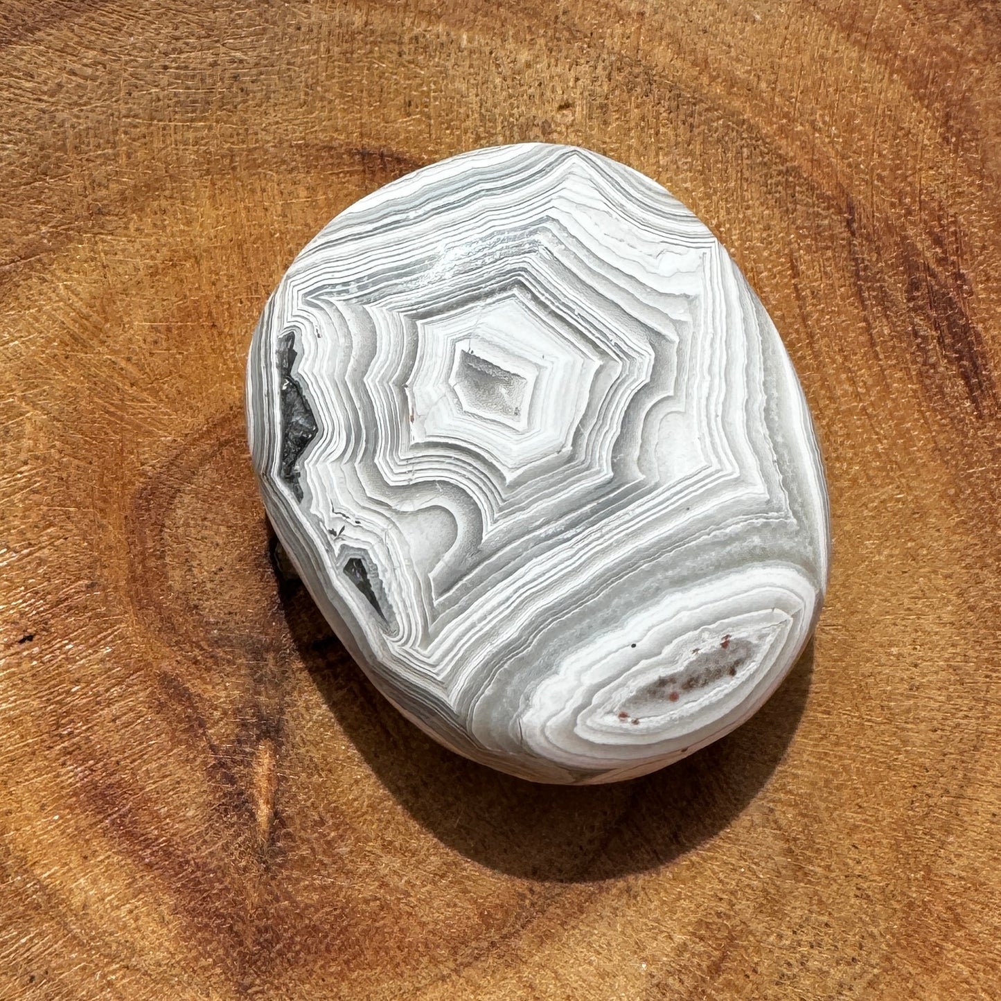 Crazy Lace Agate Palmstone