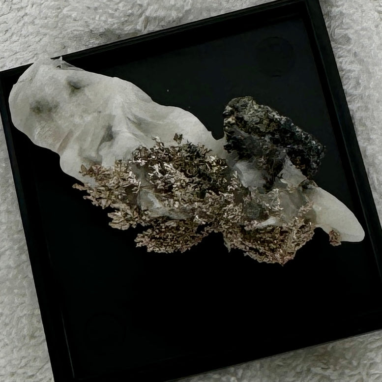 Native Silver on Calcite Display Specimen "Moptop"