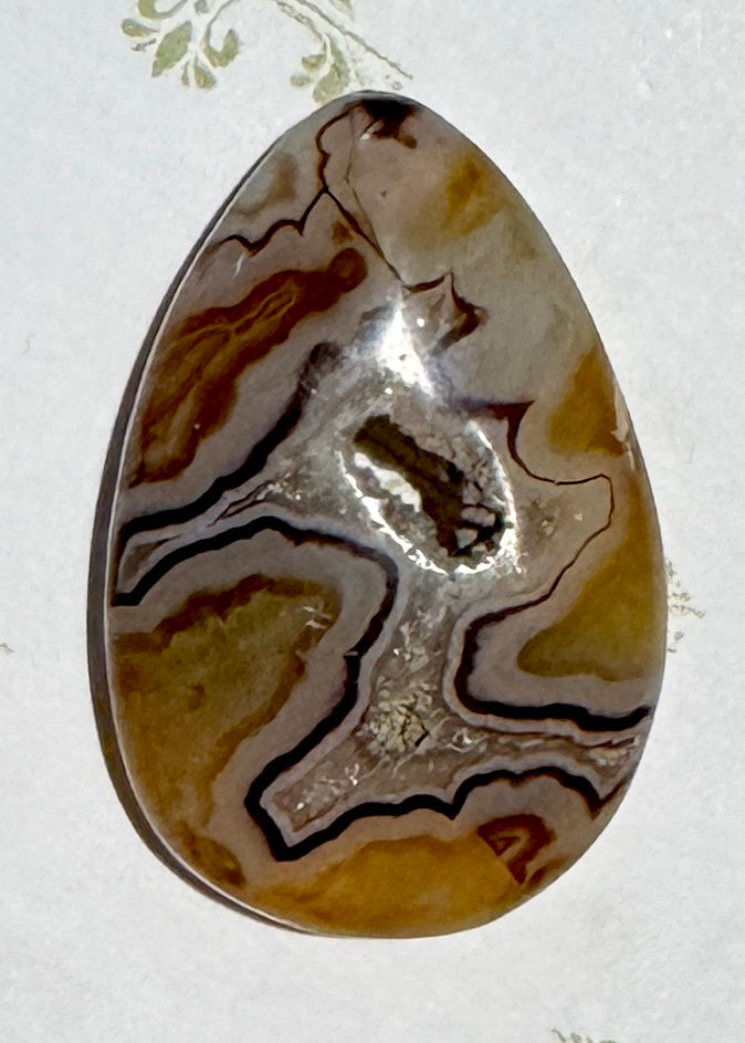 Cab: Agate Druzy.  Choice!