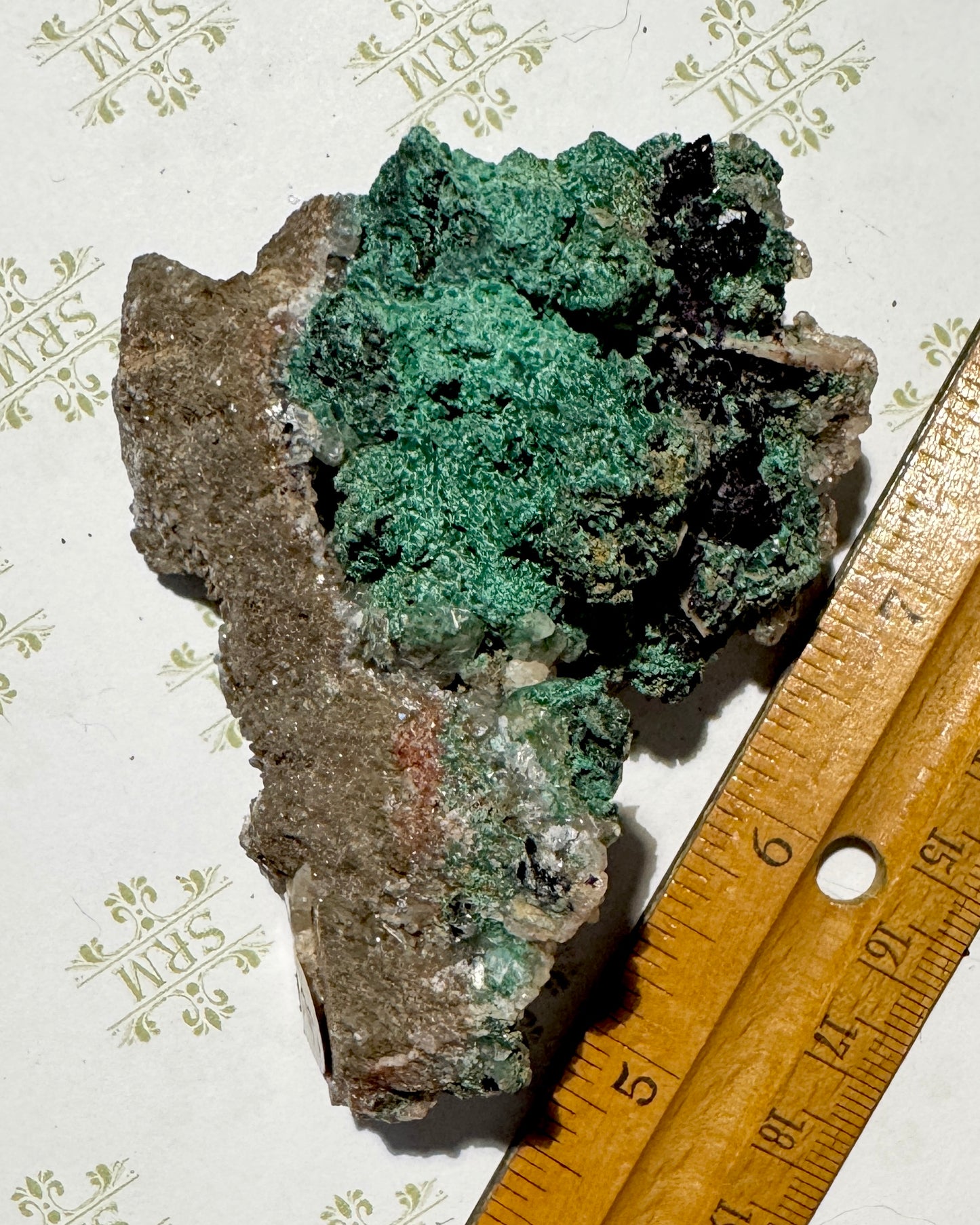Cluster :  Fluorite, Malachite, Barite. Mexico. Choice!