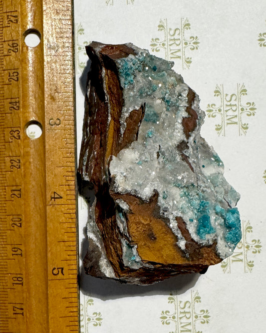 Cluster :  Fluorite, Malachite, Barite. Mexico. Choice!